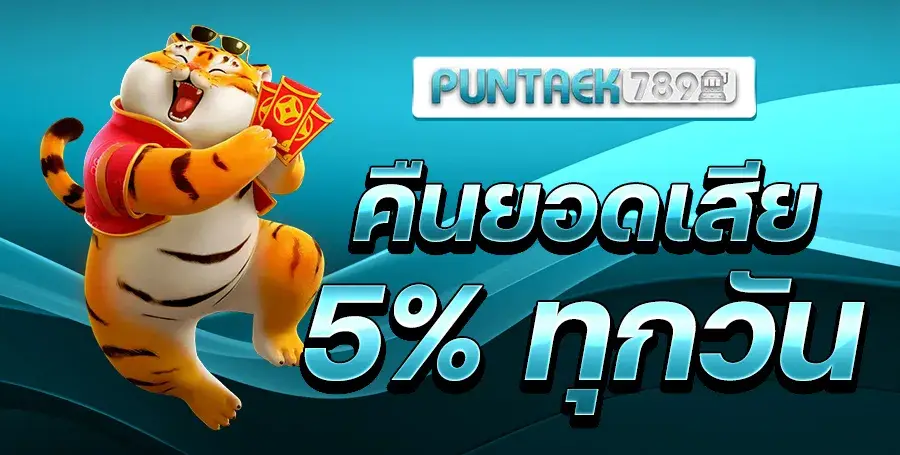 5% cashback on losses