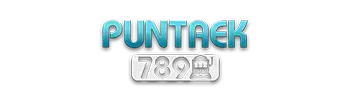 logo puntaek789