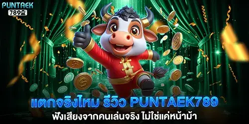 แตกจริงไหม รีวิว puntaek789